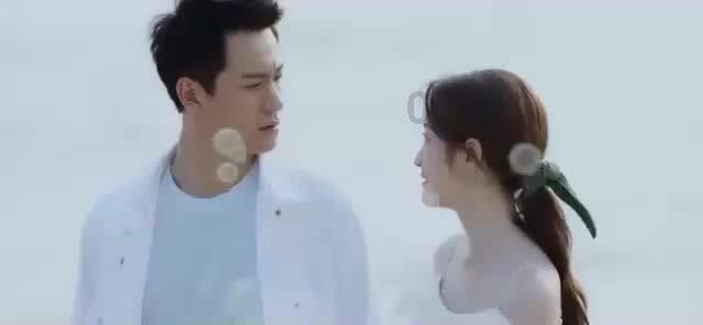 寻找火鸡